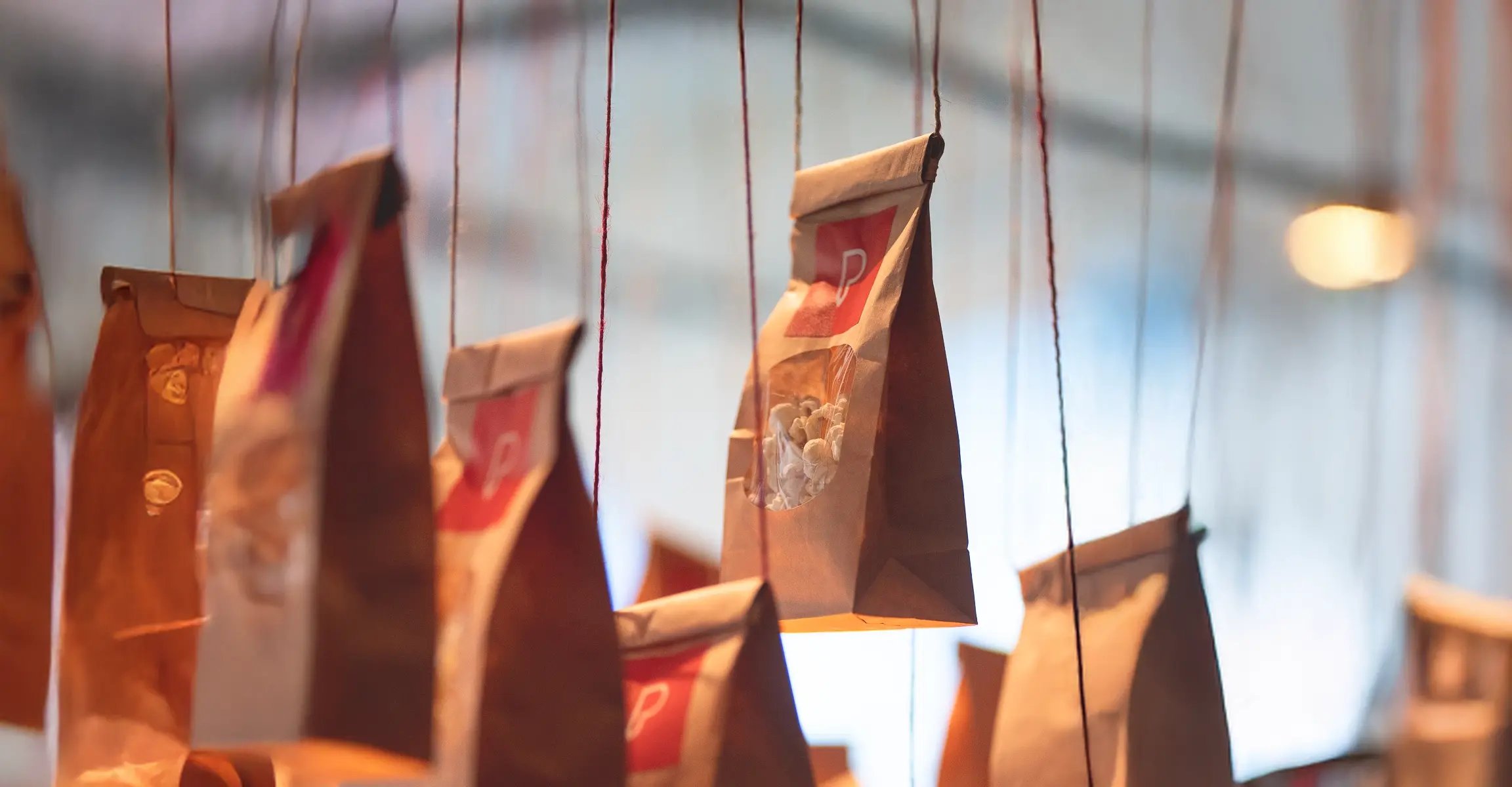 Popcorn bags featuring Parkour3, suspended by red cords