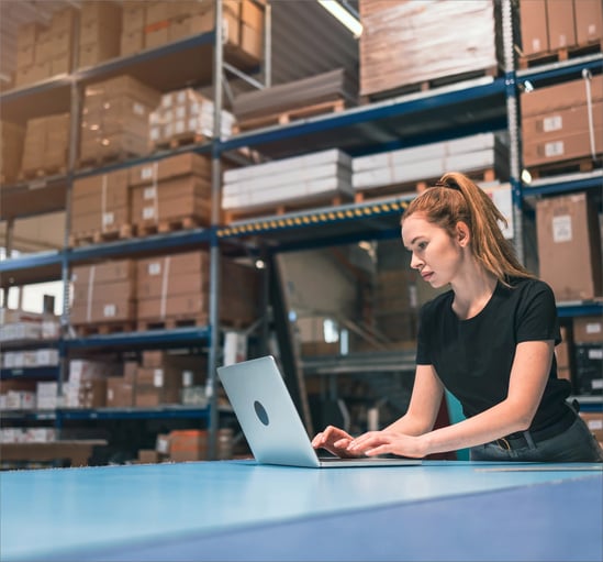 In a warehouse, one person on a laptop, surrounded by shelves filled with stacked boxes.
