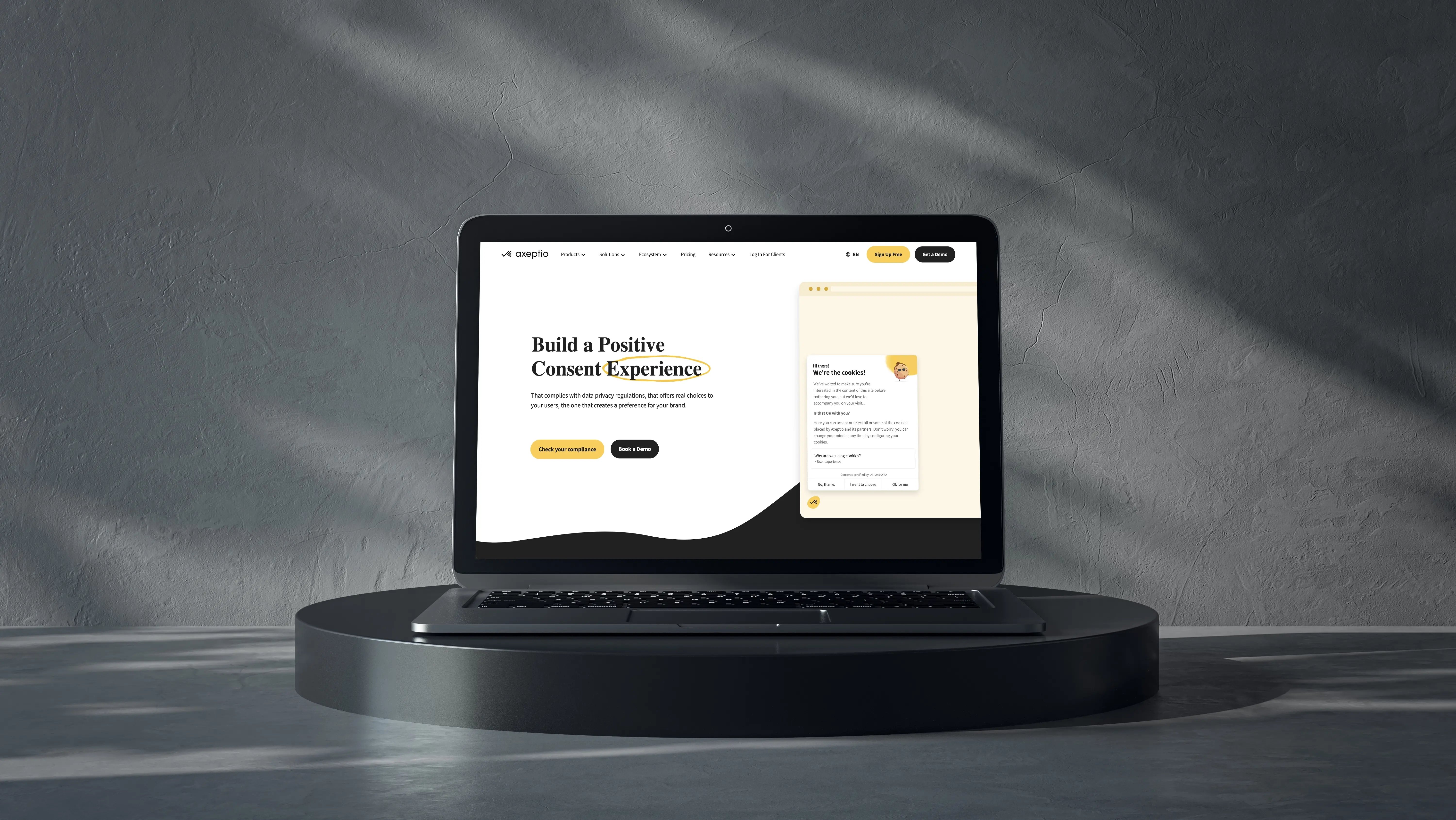 Website preview on a computer screen