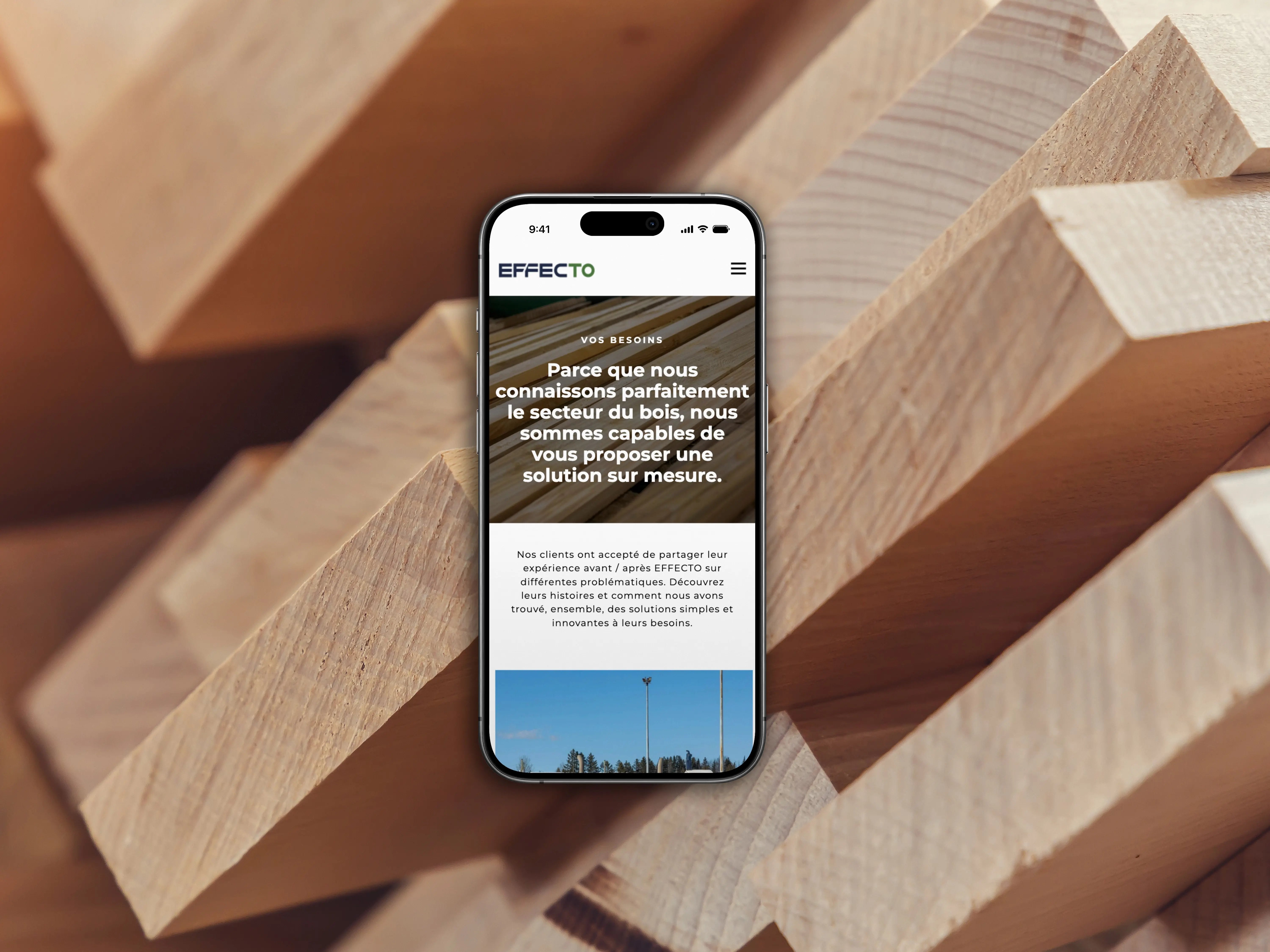 Website view on a phone screen
