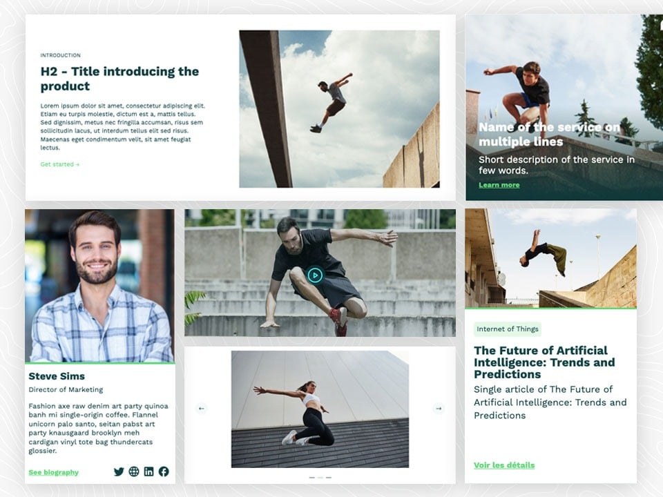 Multimedia integration